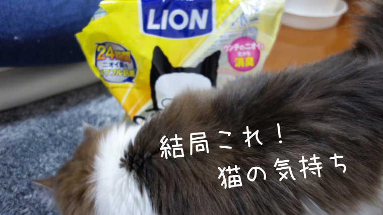 猫のトイレ 結局これになったよ 猫トイレ本体 猫砂 うぶちゃんブログ